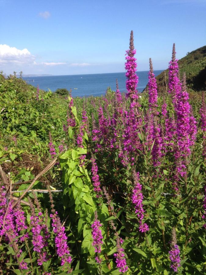 Kerryanna Country House Bed And Breakfast Mevagissey Dış mekan fotoğraf