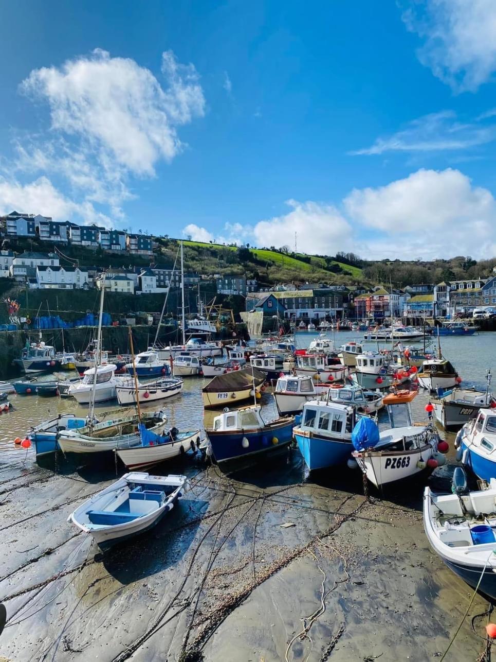 Kerryanna Country House Bed And Breakfast Mevagissey Dış mekan fotoğraf